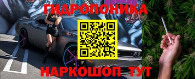молекула духа Заводоуковск