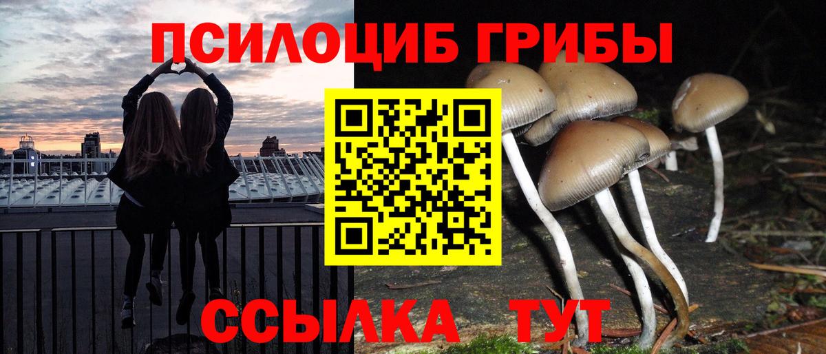 Галлюциногенные грибы MAGIC MUSHROOMS Юрга