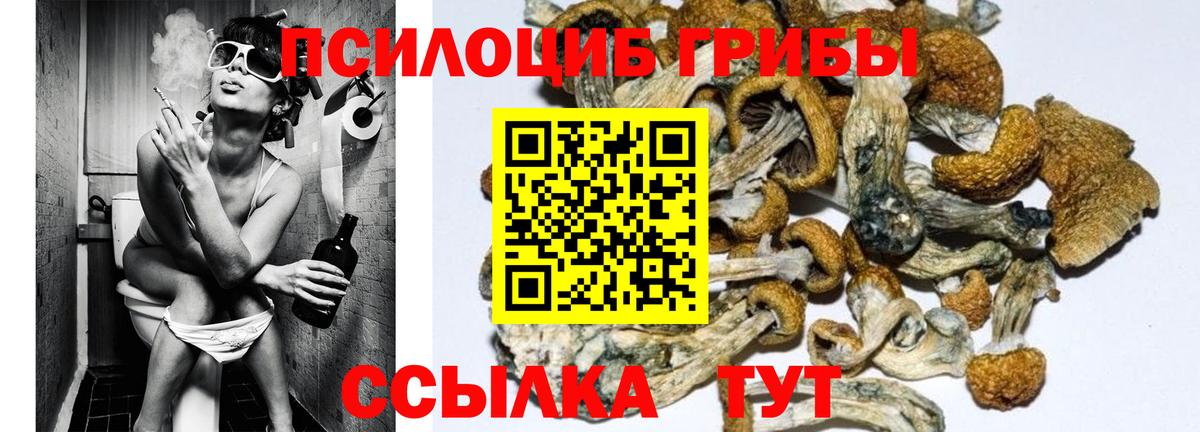 Юрга  Псилоцибиновые грибы Psilocybe  как найти закладки  Вход с VPN  Псилоцибиновые грибы Cubensis 